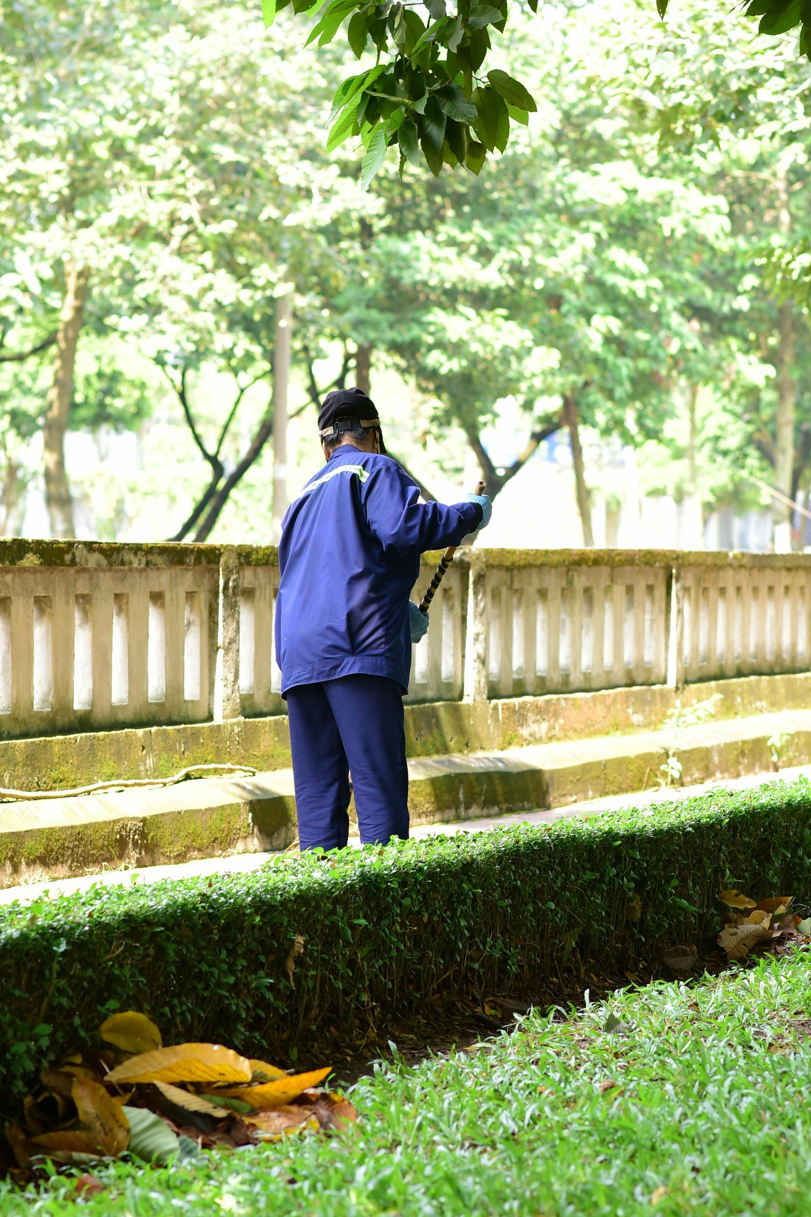 Drain Cleaning