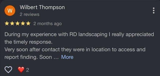 Google Review