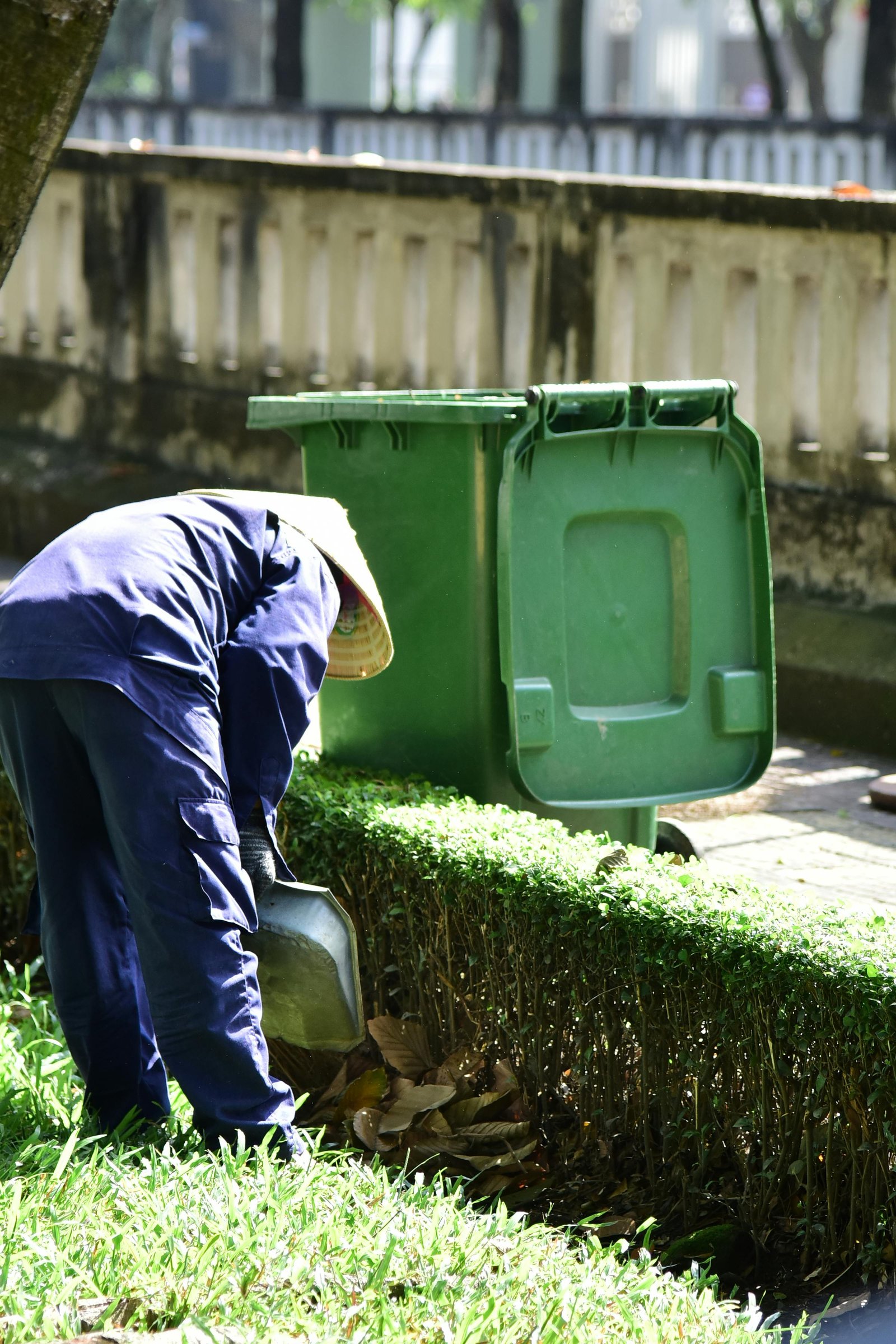 Waste Removal